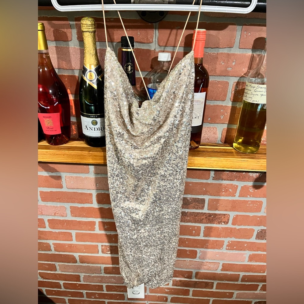 Sparkley dress